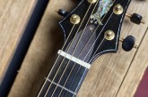 PRS Private Stock Angelus Cutaway-24.jpg